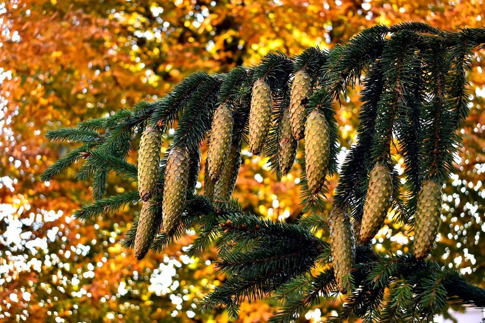 Photograph by Валерий Талейко