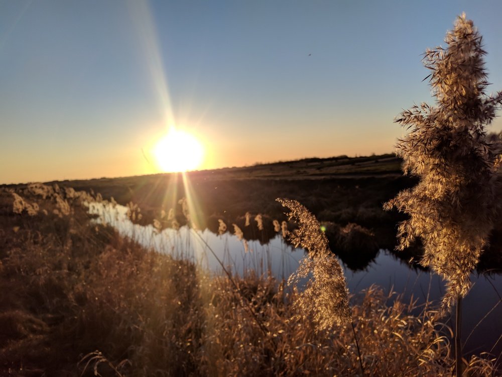 Photograph by Алена Фурман