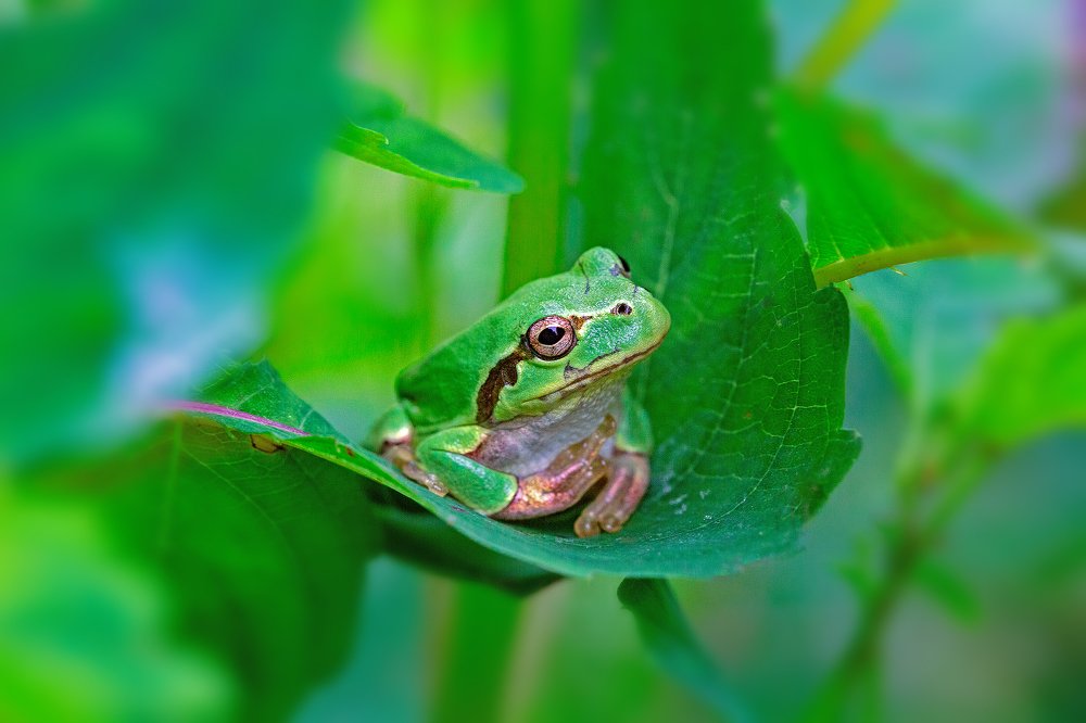 Photograph by Иван Радьков