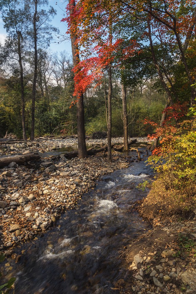 Photograph by Жанетта