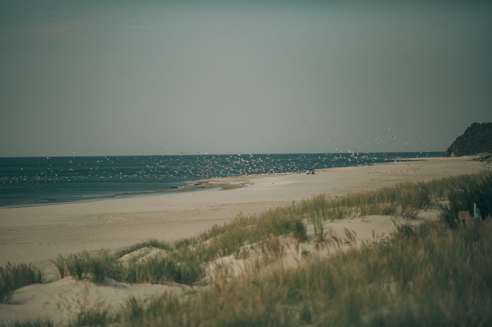 Photograph by Елена Сафронова