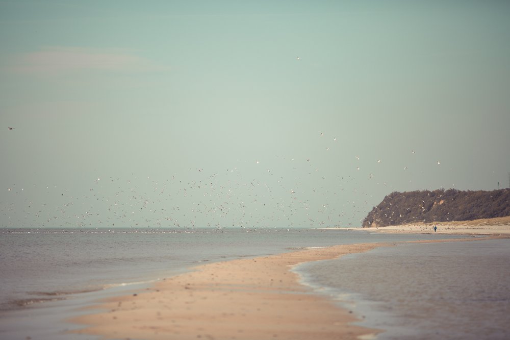 Photograph by Елена Сафронова