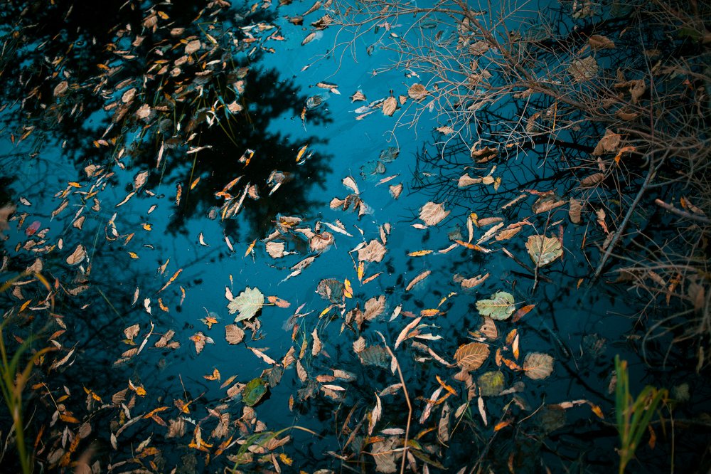 Photograph by Семён Муратов