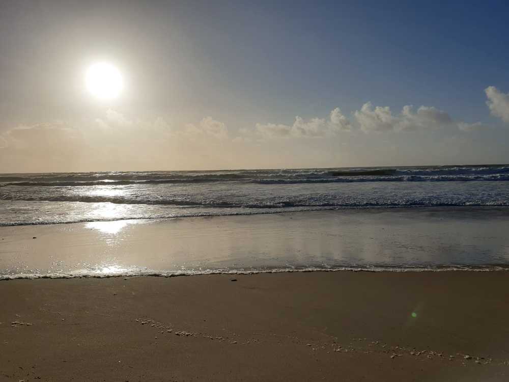 Photograph by Mónica Silva