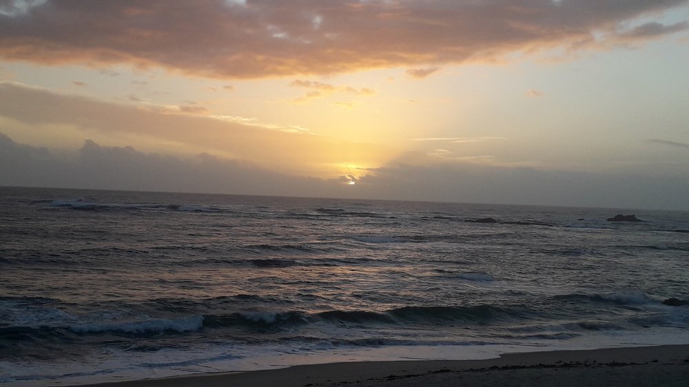 Photograph by Mónica Silva