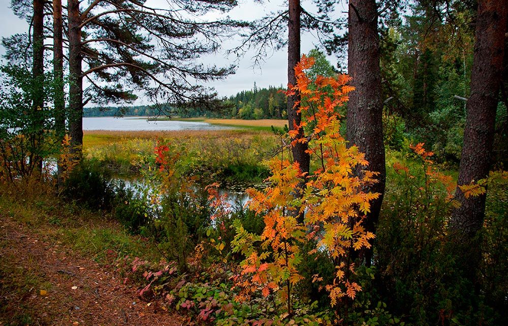 Photograph by Галина Щипакина