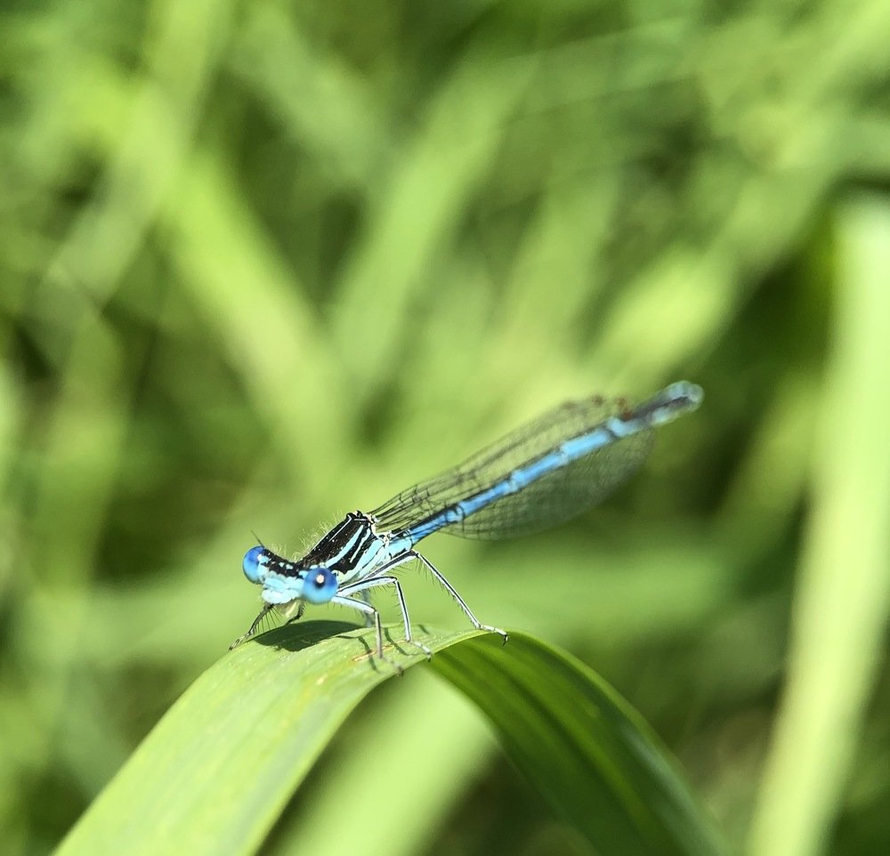 Photograph by людмила жукова