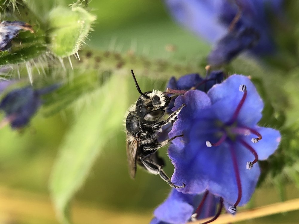 Photograph by людмила жукова