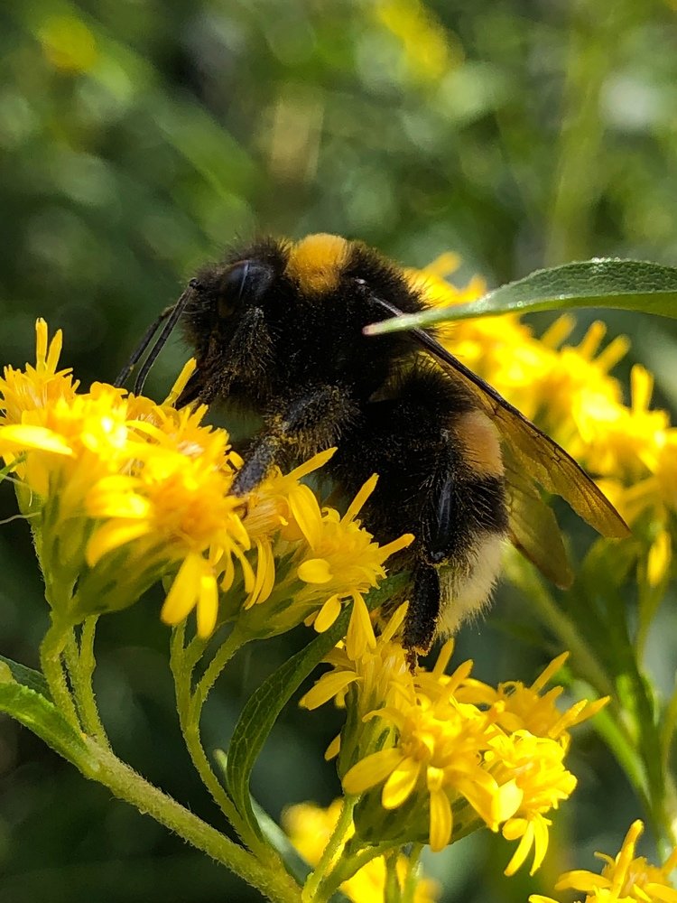 Photograph by людмила жукова