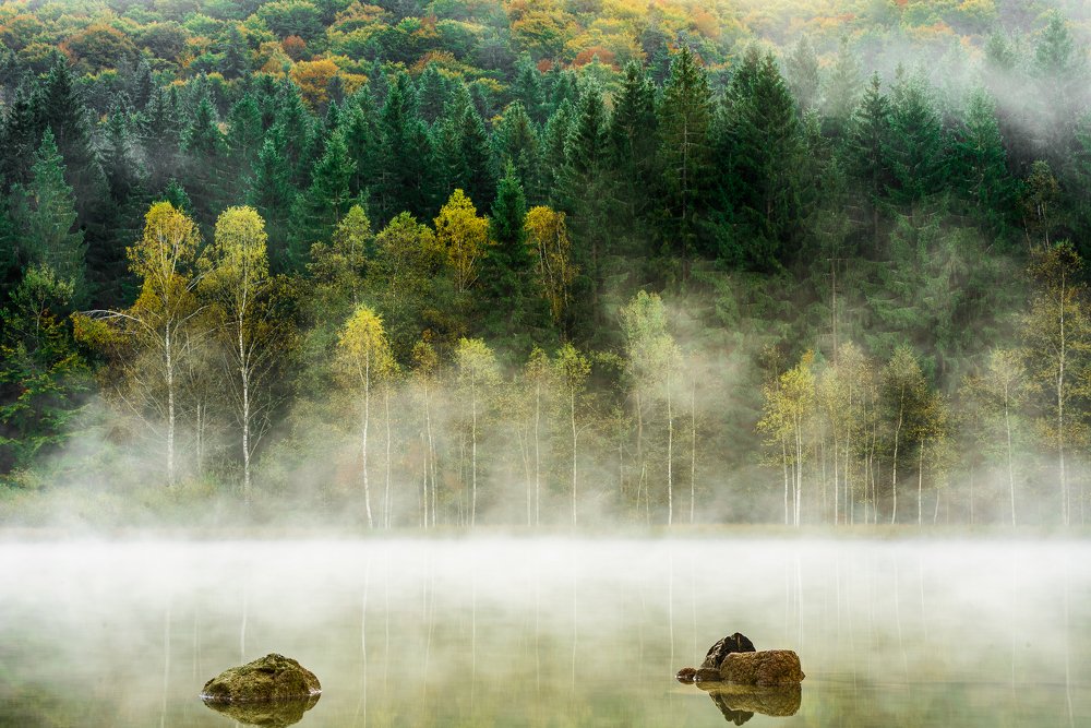 Photograph by Sanziana Rachiteanu