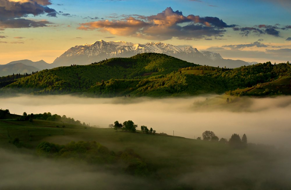 Photograph by Sanziana Rachiteanu