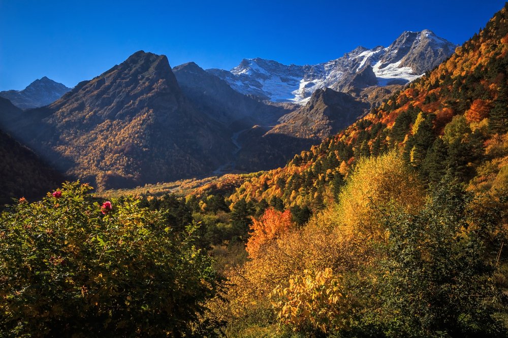 Осеннее утро в горах.