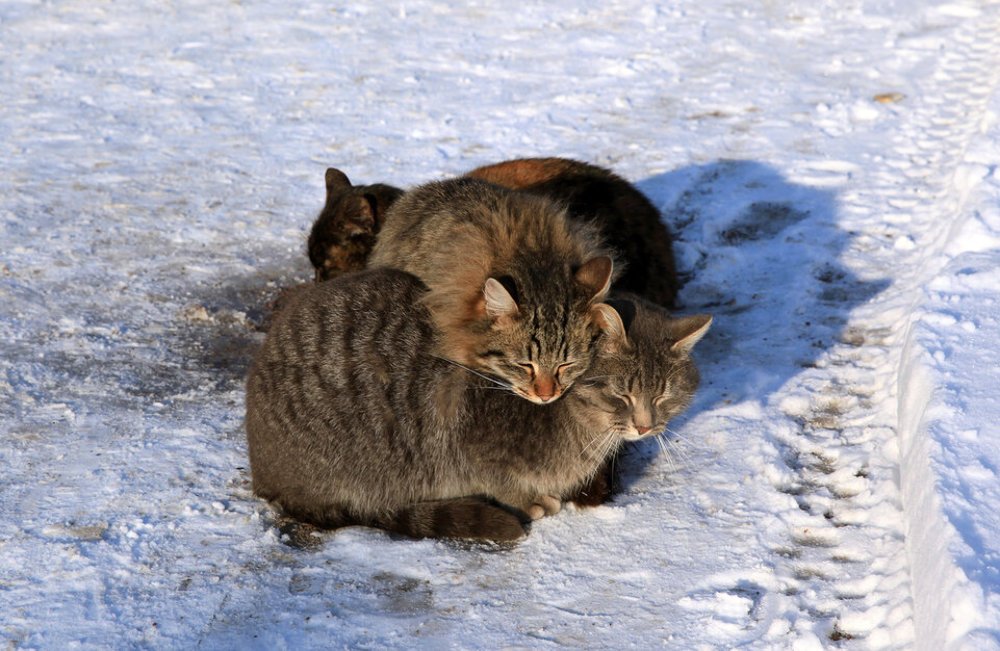 Photograph by Сергей Покладов