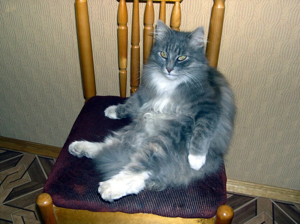 Photograph by Сергей Покладов