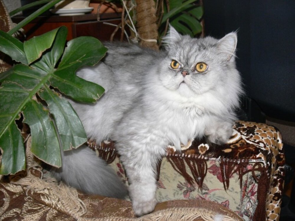 Photograph by Сергей Покладов