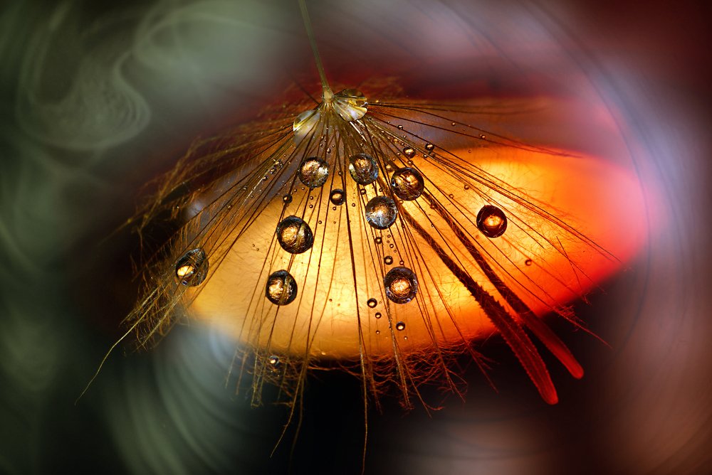 Запущу-ка в непогожий день эту жаркую "UFO-тарелку" света