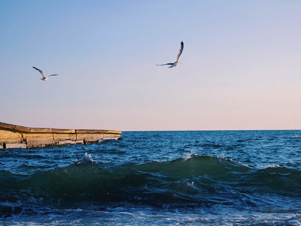 Photograph by Людмила Овчаренко