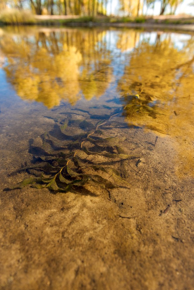 Photograph by Фарида Рахимова