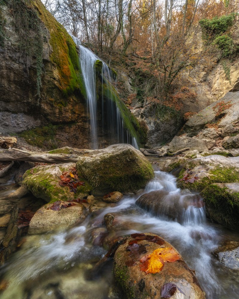 Photograph by Юлия Шумляева