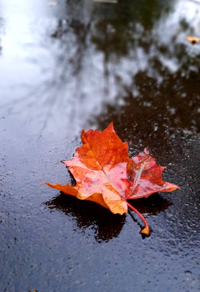 Photograph by Оксана Кочкова