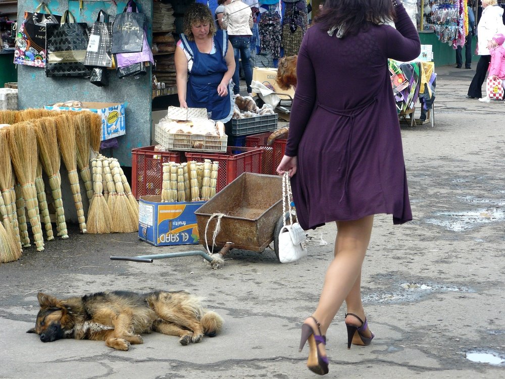 Photograph by леонид натапов