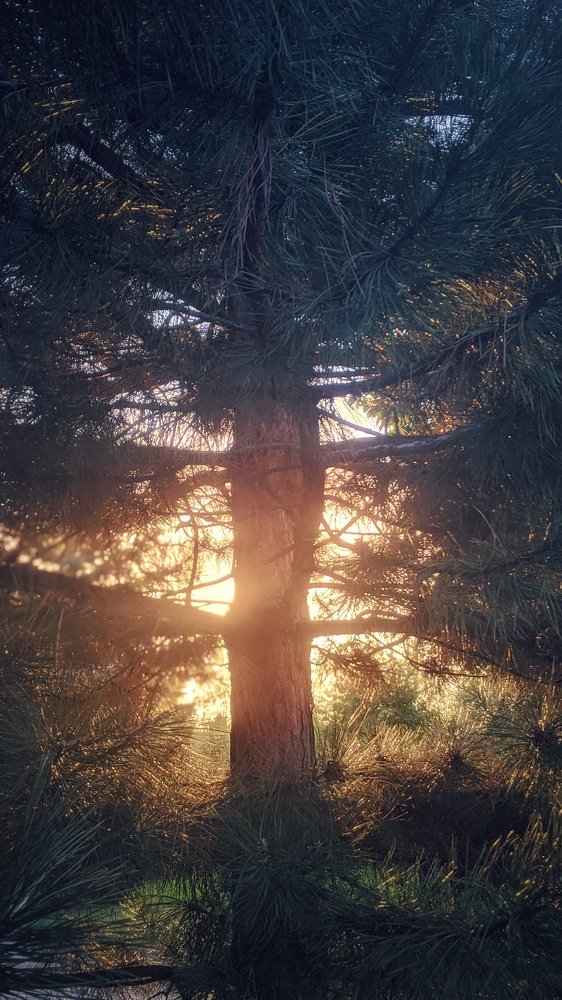 Photograph by Гилёв Любим