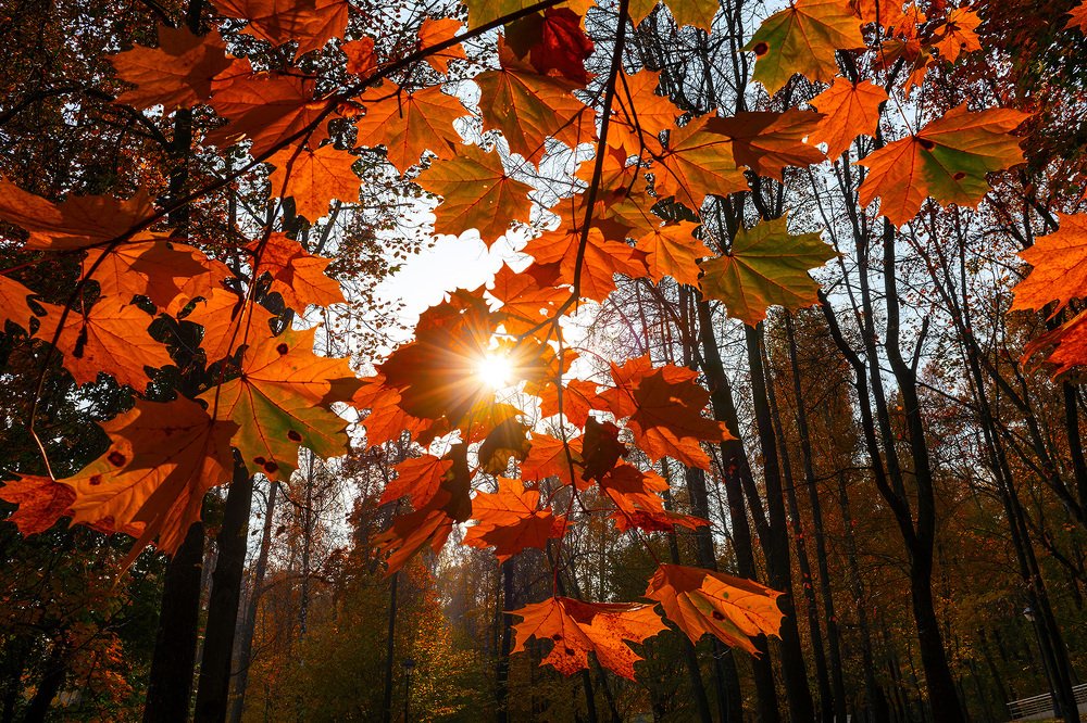 Photograph by Dmitry Vinogradov