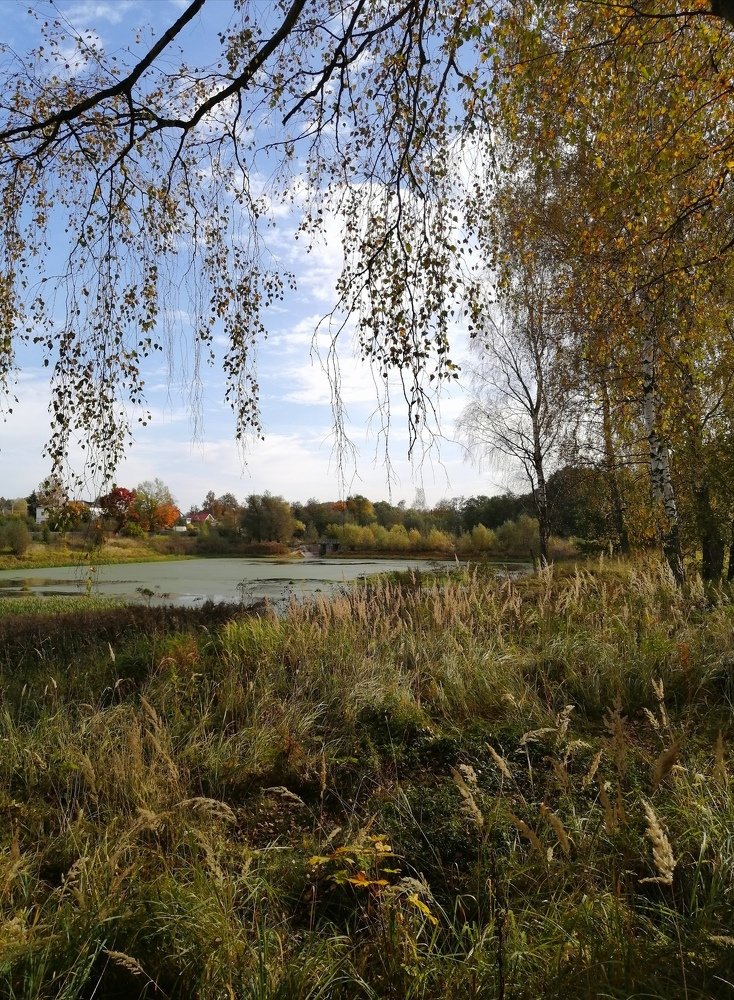 Photograph by Кира Орлова