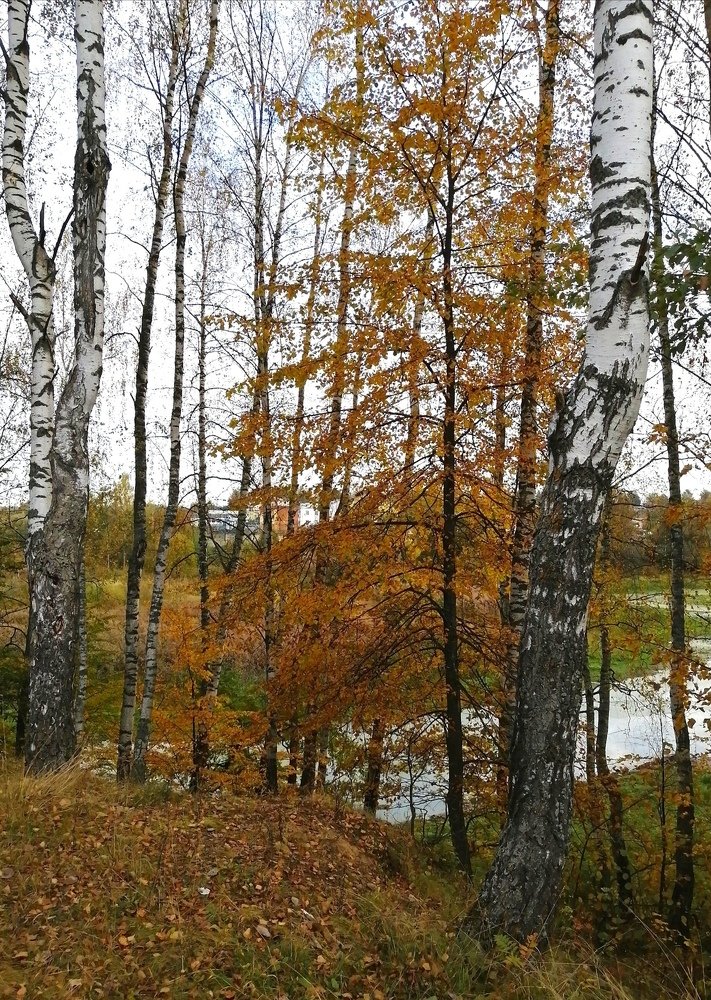 Photograph by Кира Орлова