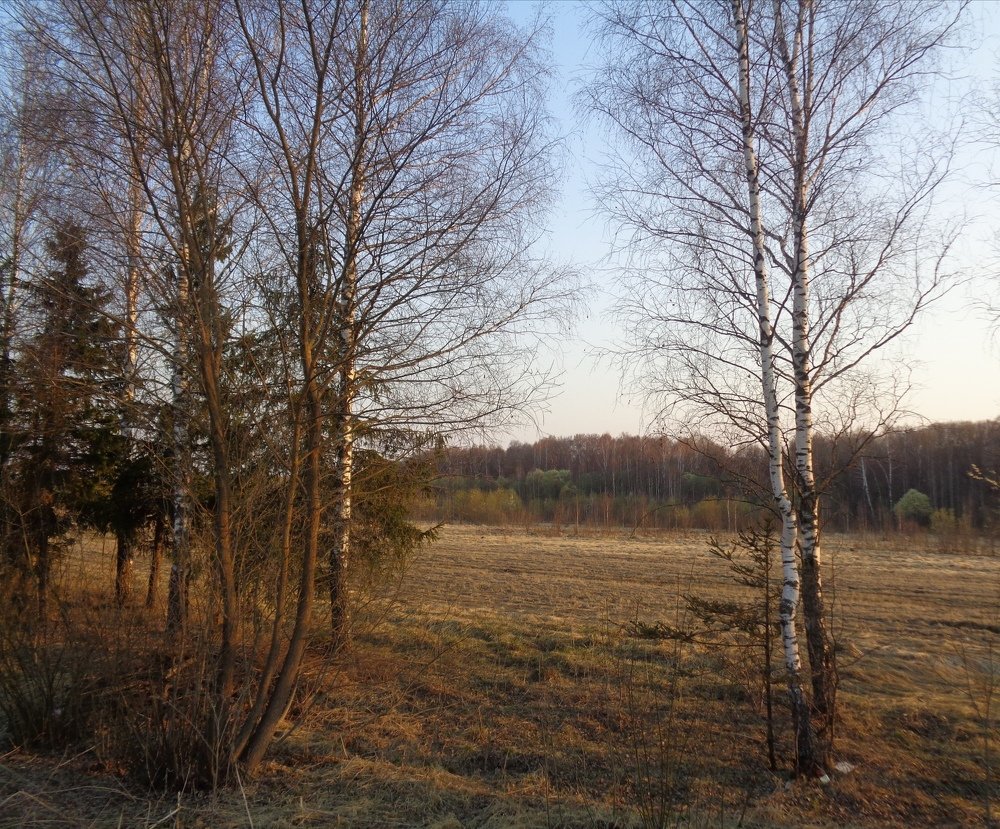 Photograph by Кира Орлова