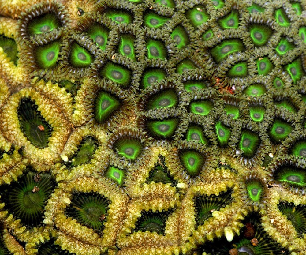 Photograph by Yuwaraj Gurjar