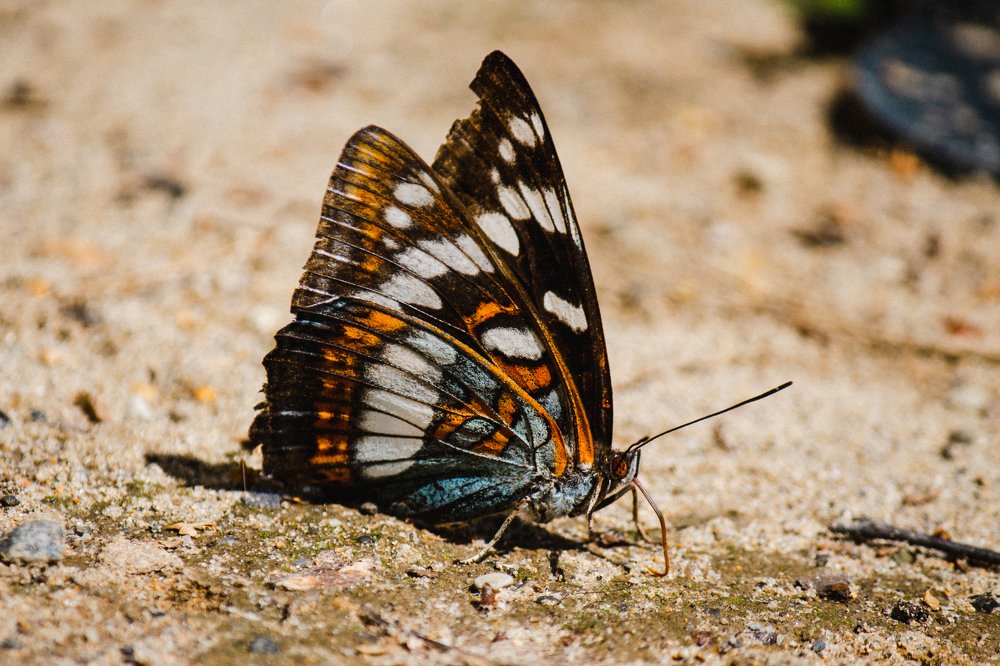 Photograph by Оксана Корчагина