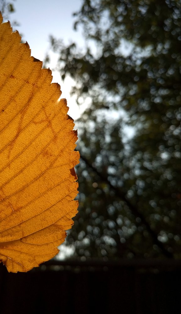 Photograph by Евгения