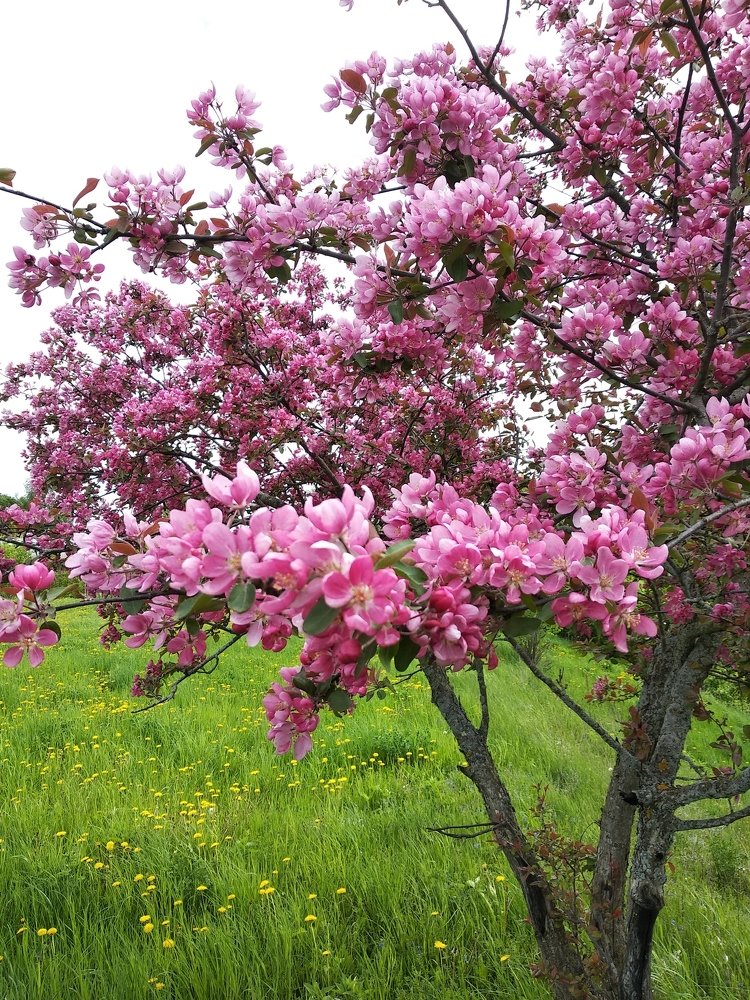 Photograph by Станислав Васильев