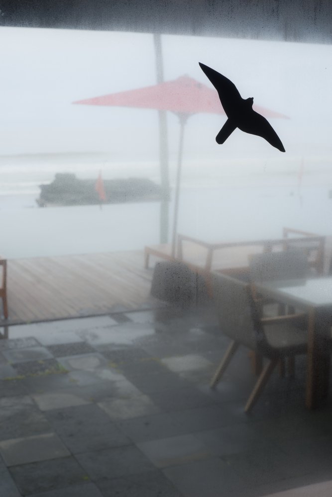 Photograph by Roozbeh Rahiminejat