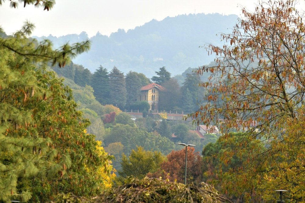 Photograph by Никуличева Екатерина