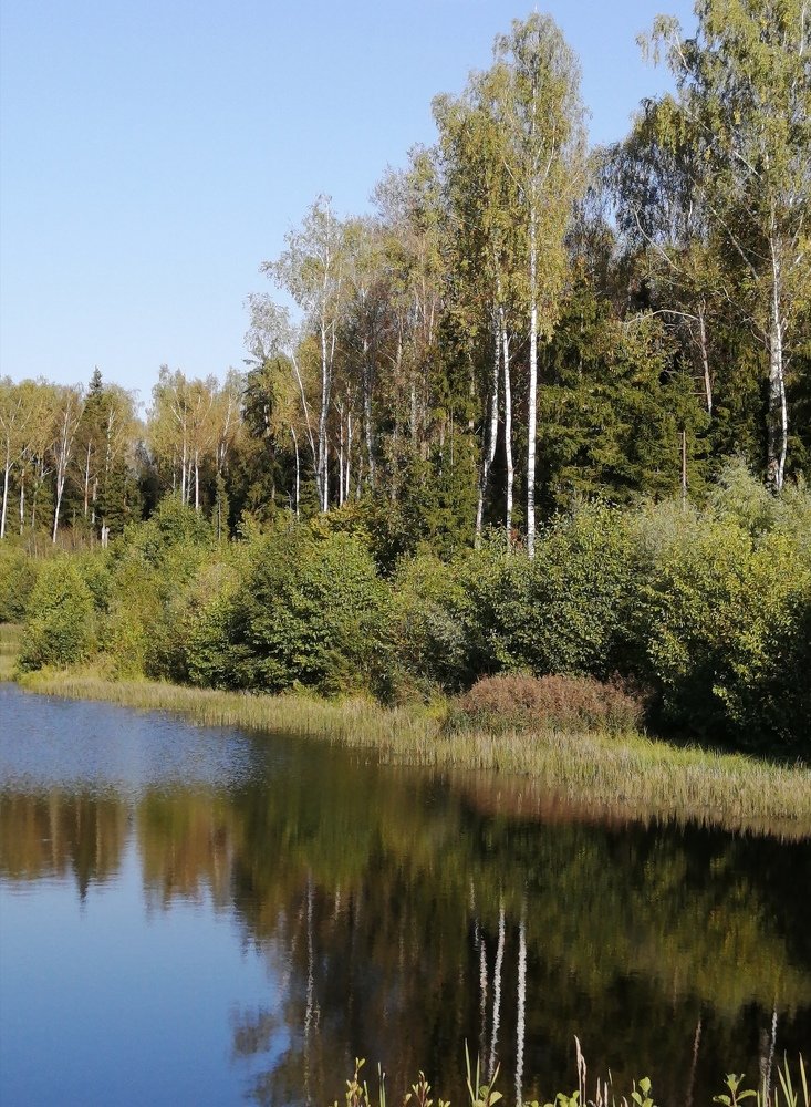 Photograph by Кира Орлова