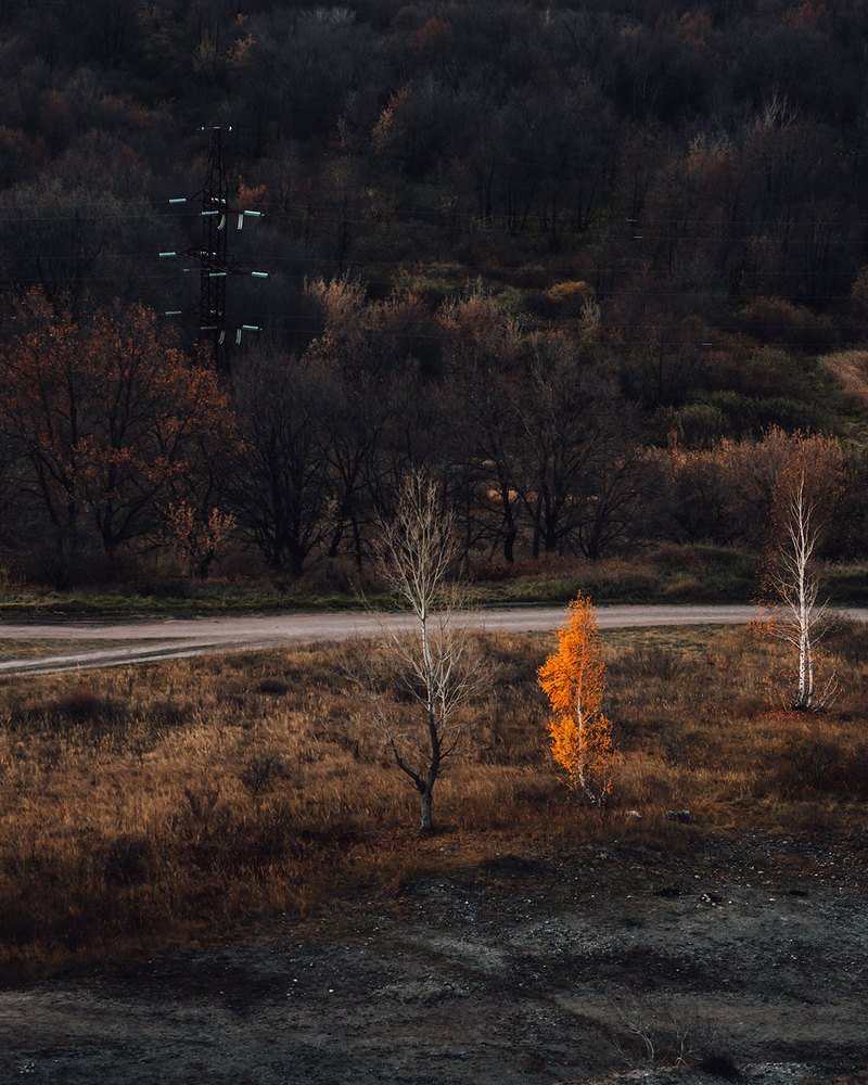 Три сестрицы