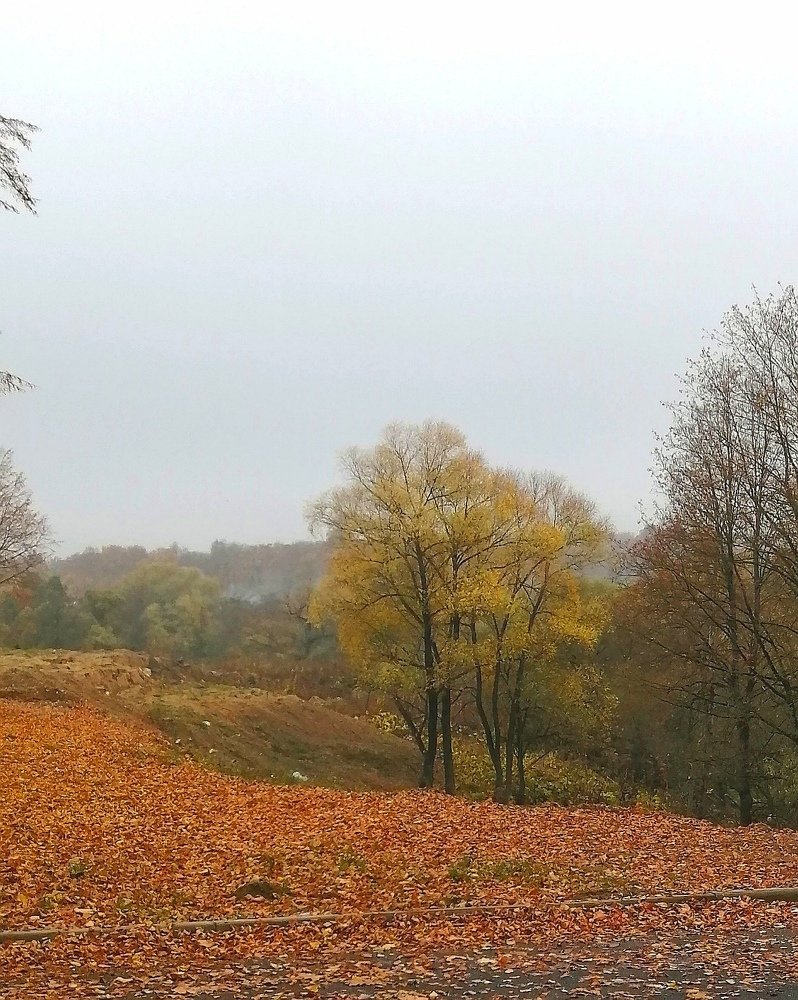 Photograph by Кира Орлова