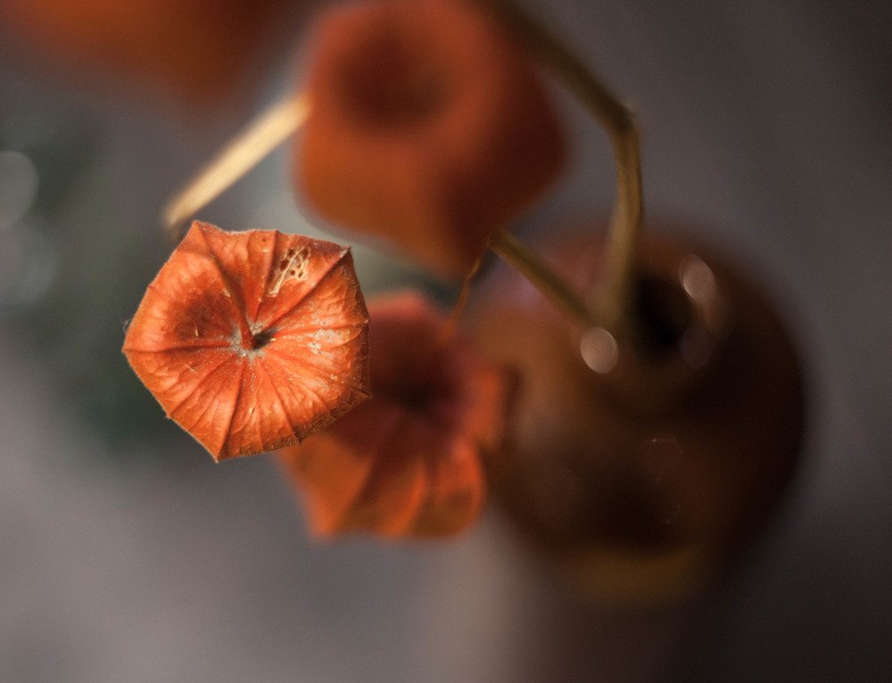 Photograph by Эльвира Сагдиева