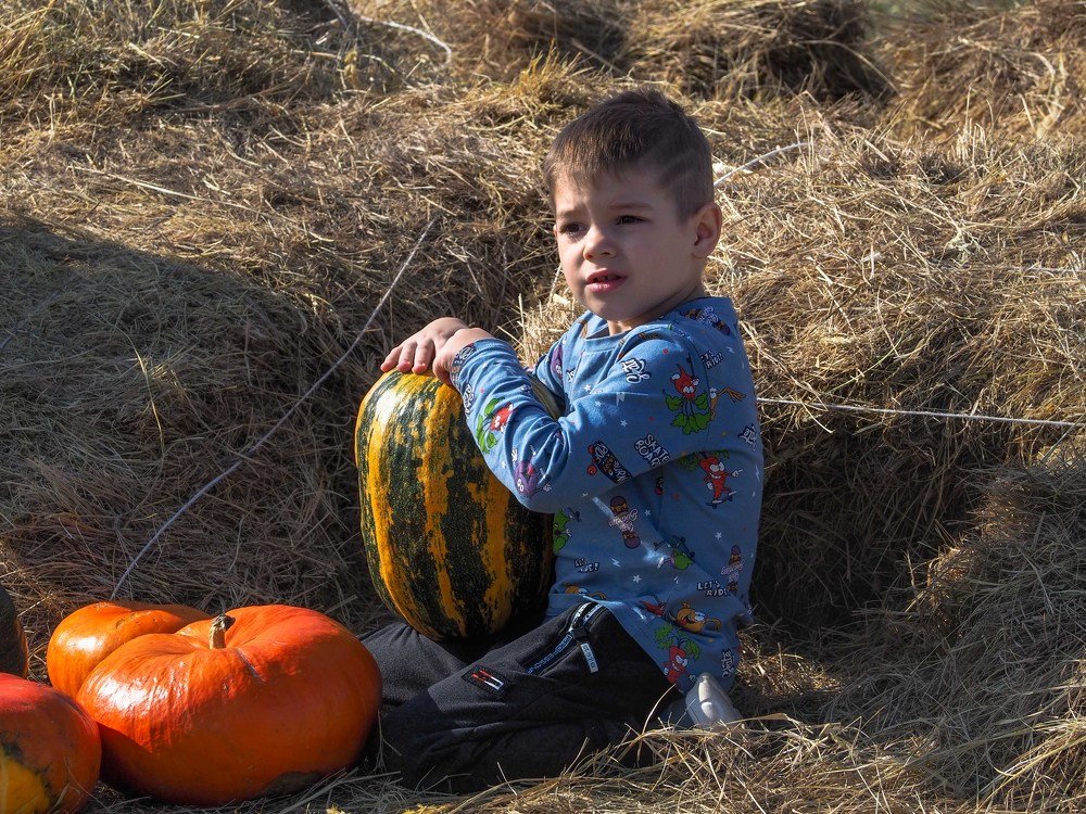 Photograph by mikhail goryachev