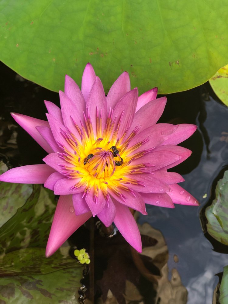 Photograph by Ирина Кононова