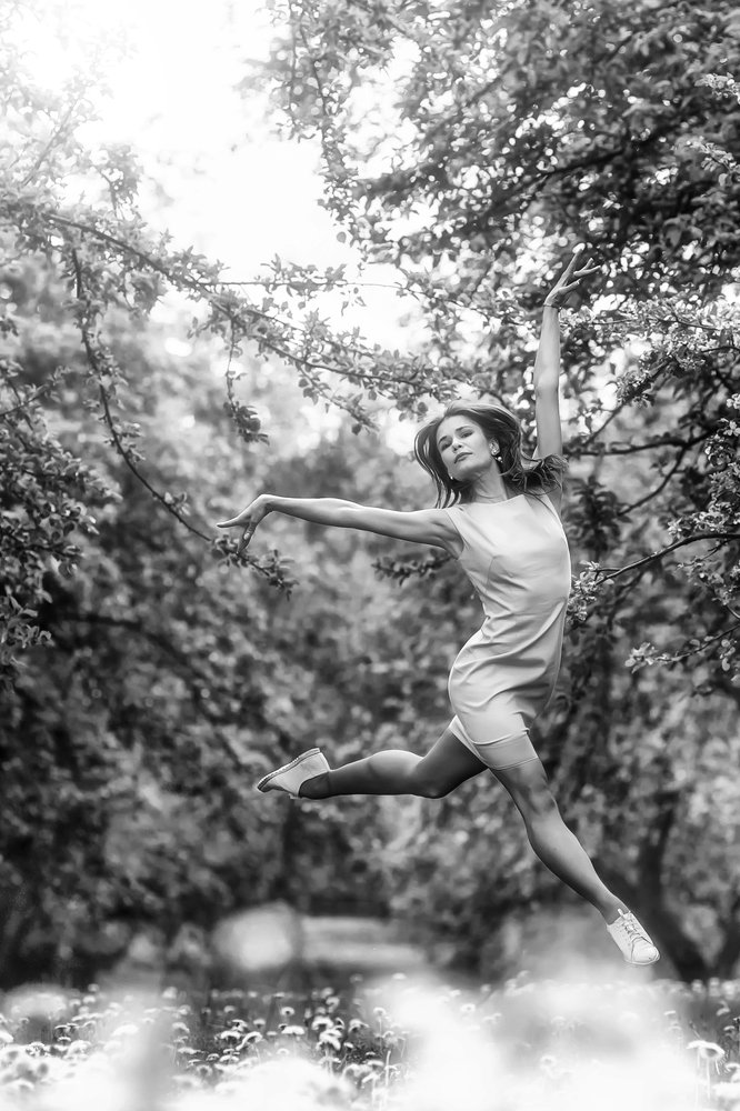 Белая Птица