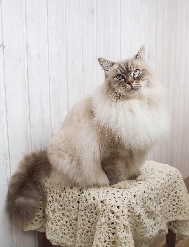 Photograph by Ирина Решетникова