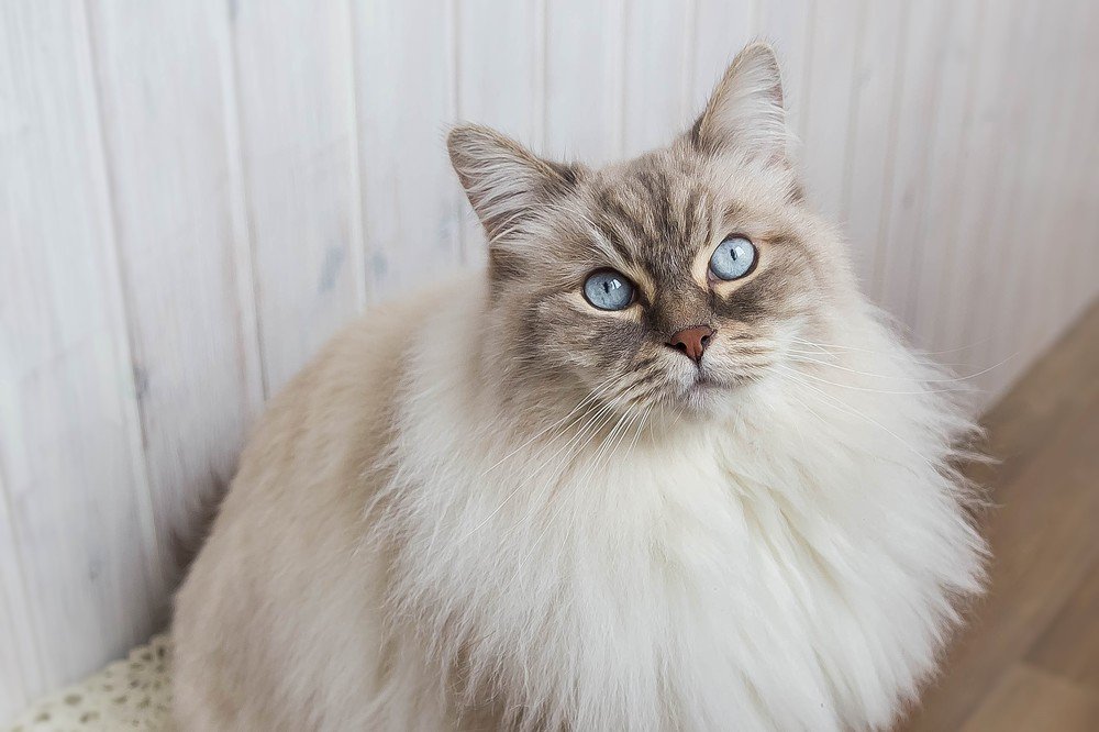 Photograph by Ирина Решетникова