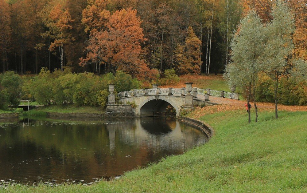 Осенние краски