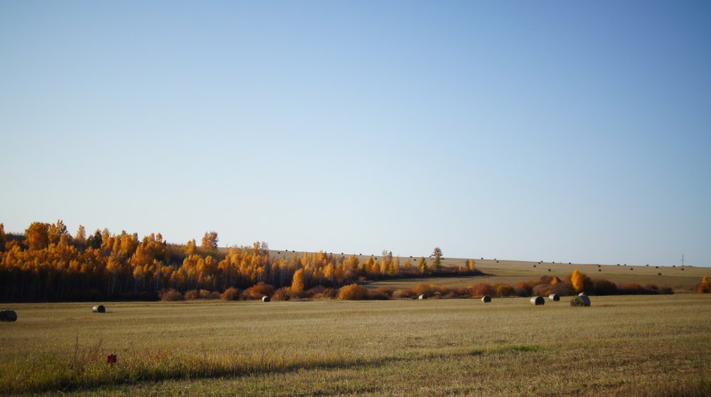 Photograph by Агния Жагрова