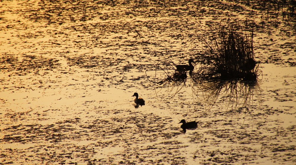 Photograph by Агния Жагрова