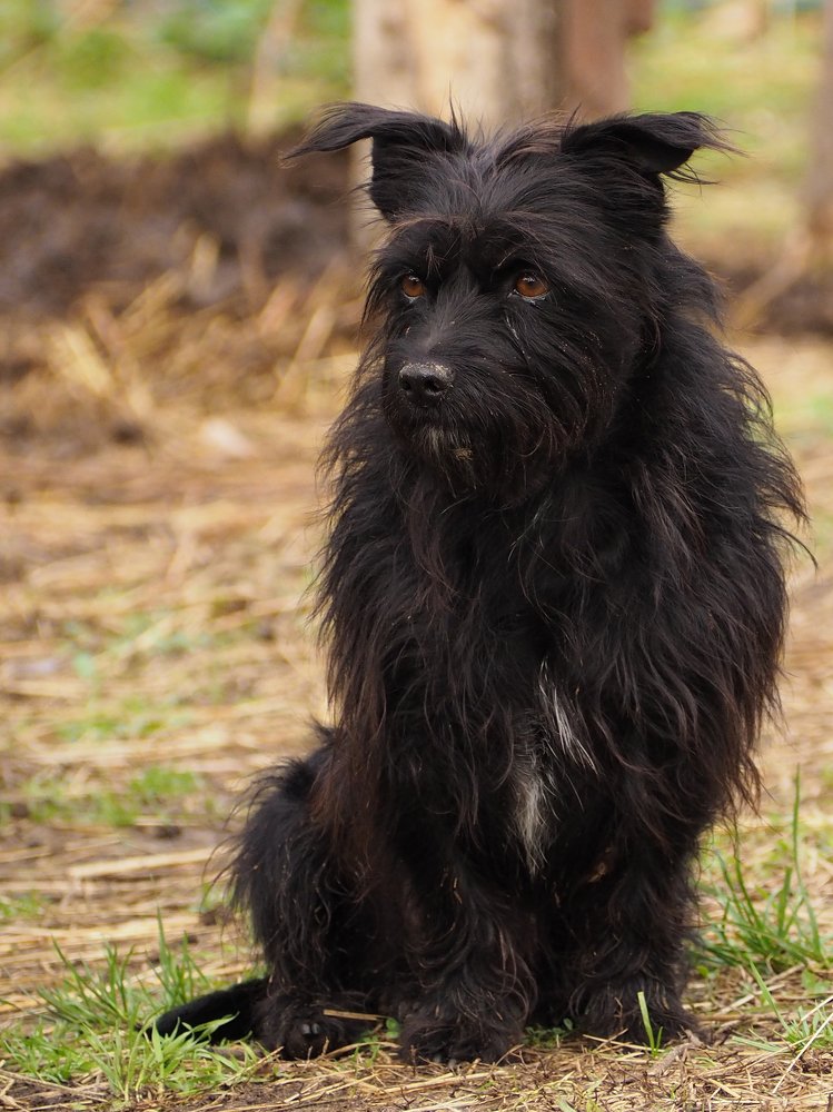 Фотография автора Denes Doma