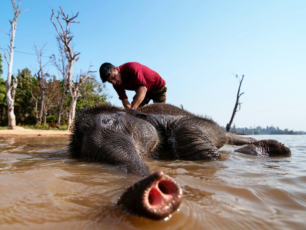 Photograph by TITTU SHAJI THOMAS